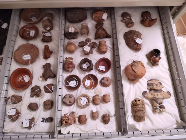 Drawer with cataloged museum objects.