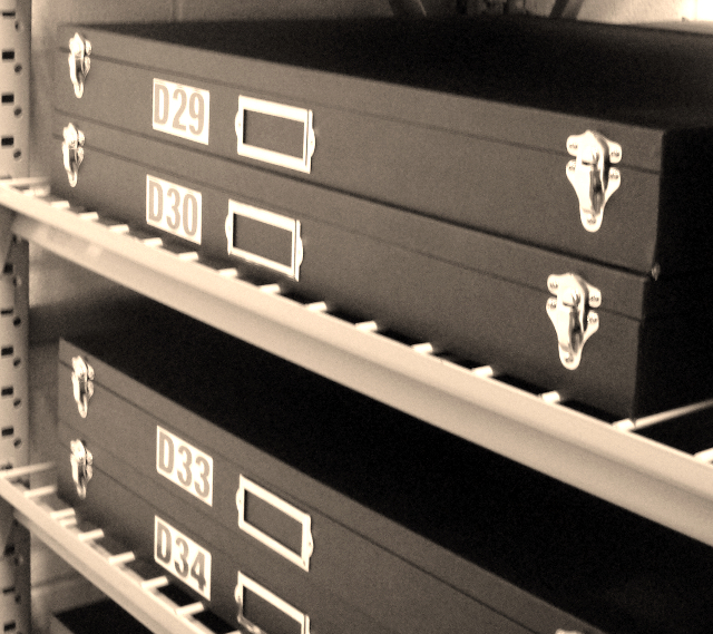 Image of museum collection storage